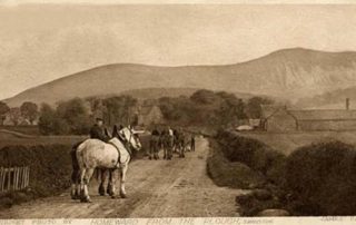 Image shows a very old photograph taken by photographer James Patrick during the 1800's of the Swanston Farm plough horses heading back up the track towards the farm at the end of a working day. There is a farm working riding one of the horses which are still wearing their harnesses. Caerketton Hill is seen in the background and the farm steading seen in the middle of the photo.