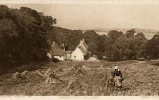 Image shows a very old postcard of a photograph by James Patrick from the 1800's, showing Swanston Village, surrounded by trees, with a woman stacking wheat in individual teepee piles in the foreground. It is titled 'Swanston Village'.