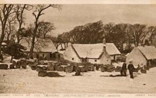 Image shows a very old postcard of a photograph taken in the 1800's by a photographer called James Patrick. The photo shows some of the old thatched cottages of Swanston Village, with sheep in the foreground and is titled 'The Roaring Shepherds Cottage' because it shows the cottage where the Swanston Shepherd, John 'Roaring' Todd, used to live.
