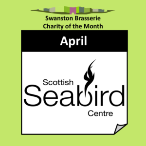 Logo of the Scottish Seabird Centre black writing on a white background with a stylised illustration of a black gannet diving downwards
